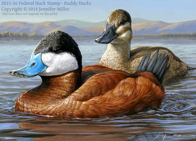 ON SALE Collector's Edition, Artist's Proof (UNFRAMED)