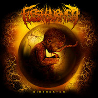 Fleshburner - Birtheater EP [Limited Edition Digipak] - Thumbnail 1