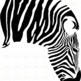 The Zebra - Toddler Tee - Thumbnail 1
