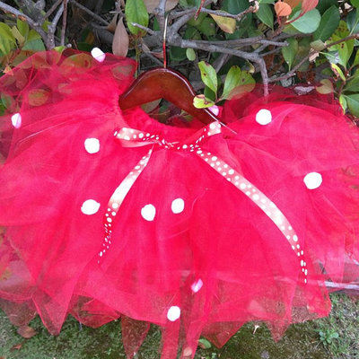Disney inspired minnie mouse tutu