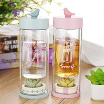 Succulent Bottle