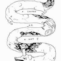 Are You A Snake or A Rat? - Thumbnail 3