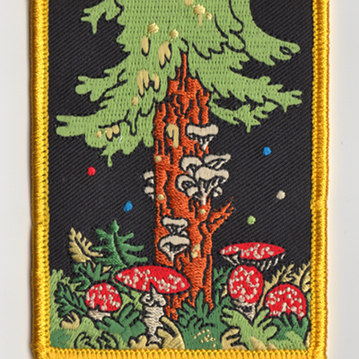 Forest fungus patch