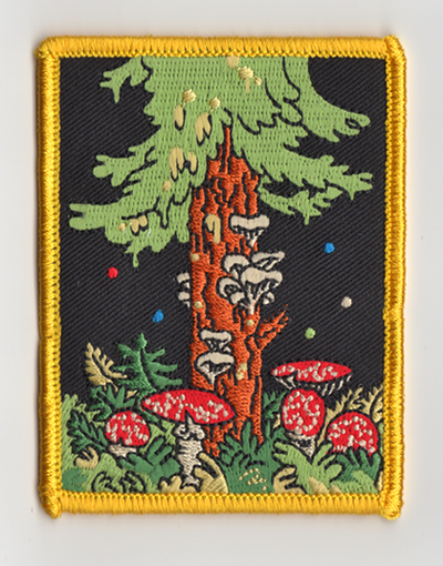Forest Fungus Patch