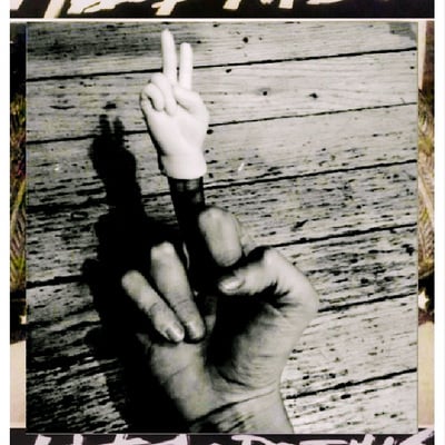 Latex poems - melle rebel