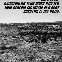 Journey Beneath The Shores - Abayomi Ogunniyi - Thumbnail 1