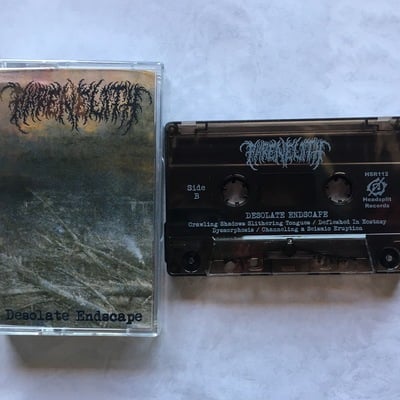 Phrenelith - "desolate endscape" 