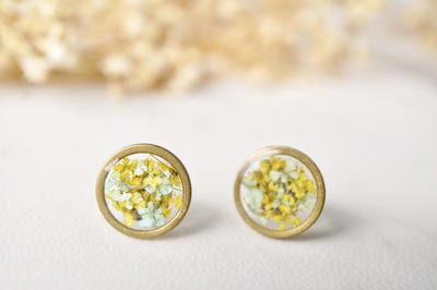 Real Dried Flowers and Resin Stud Earrings, Gold Circle in Mint and Yellow