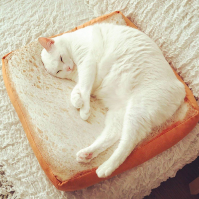 Toast bread pillow 