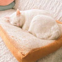 TOAST BREAD PILLOW  - Thumbnail 1