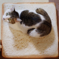 TOAST BREAD PILLOW  - Thumbnail 2