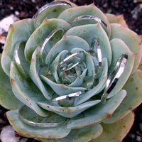 Thick Hammered Stacking Rings - Thumbnail 1