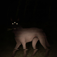 It Came Through the Yard - T-Shirt - Thumbnail 1