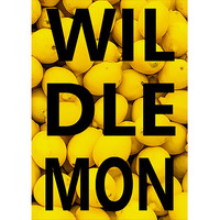 LEMONS - Thumbnail 1