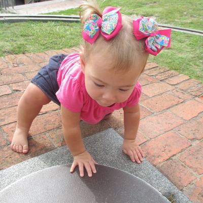 Lp turtles pinwheel pig tail set