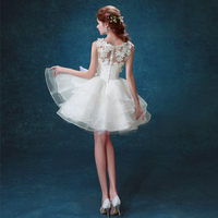 2017 prom dresses,A-line Scoop Short Mini Tulle Homecoming Dresses Cocktail Dresses SKY465 - Thumbnail 1