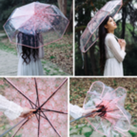 Sweet cherry blossom transparent folding umbrella - Thumbnail 1