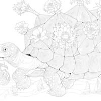 Coloring Book - On Sale! - Thumbnail 4