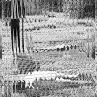 Seizure "S/T" CS (Ltd. to 75 copies) - Thumbnail 2