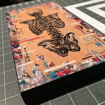 "bisect" 6x12" print on wood