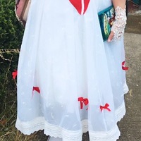 Mary Poppins Jolly Holiday Costume--4 Pieces-- Skirt, Blouse,Belt & Hat - Thumbnail 2