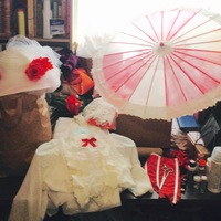 Mary Poppins Jolly Holiday Costume--4 Pieces-- Skirt, Blouse,Belt & Hat - Thumbnail 3