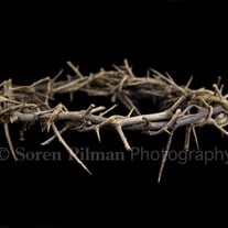 Crown of Thorns