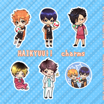 Haikyuu CHARMS