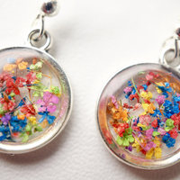 Real Dried Flowers and Resin Earrings, Silver Circle Drops in Party Mix - Thumbnail 2