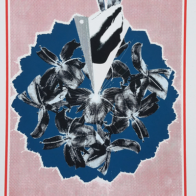 Foxygen, cat's cradle, 2017