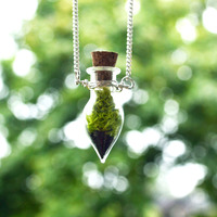 Moss Necklace, Spring Jewelry, Glass Terrarium Necklace, Miniature Terrarium, Botanical Jewelry, Moss Jewelry, Plant Jewelry, Live Plant - Thumbnail 1