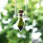 Moss Necklace, Spring Jewelry, Glass Terrarium Necklace, Miniature Terrarium, Botanical Jewelry, Moss Jewelry, Plant Jewelry, Live Plant-1