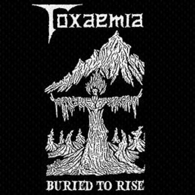 Toxaemia - buried to rise: 1990-1991 discography (cd) - Thumbnail 4