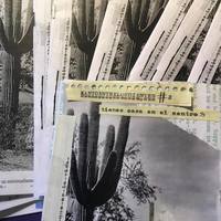 KANTOENTRELOSDIENTES #2 - Thumbnail 1