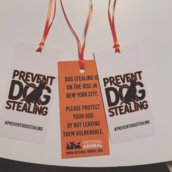 Prevent Dog Stealing tickets - set of 25