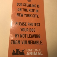 Prevent Dog Stealing tickets - set of 25 - Thumbnail 2