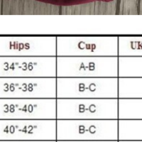  Women Sexy Bikini Set lace Swimsuit Beachwear Bathing Suit Brazilian Biquini - Thumbnail 3