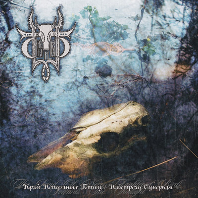 Sivyj yar - the land of never frightened birds/towards to... (lp) - Thumbnail 4