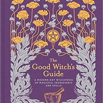 The good witches guide: a modern day wiccapedia of magicakal ingredients and spells
