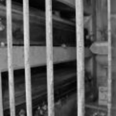 Defuntos - invocao aos mortos - Thumbnail 3