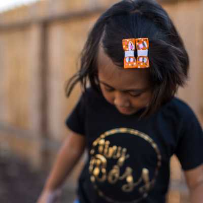 Pumpkin spice love clippies