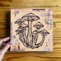 "Fungus Amongus" Print on Wood 10" - Thumbnail 1