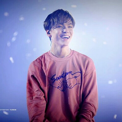 K-pop seventeen thin sweatshirt