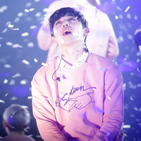 K-Pop Seventeen Thin Sweatshirt - Thumbnail 3