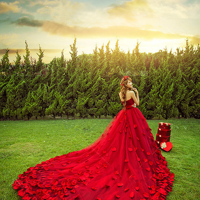 Wedding dresses sweetheart petals wedding dresses princess off-the-shoulder lace-up bridal gown