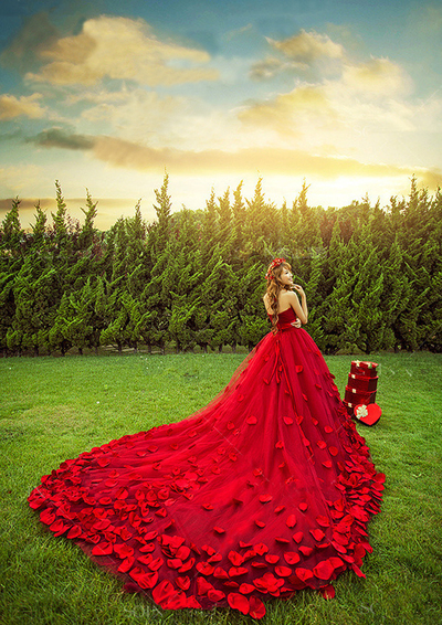 Wedding Dresses Sweetheart Petals Wedding Dresses Princess Off-the-shoulder Lace-up Bridal Gown