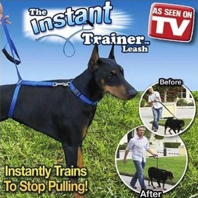 6 ft instant trainer leash nylon dog leash