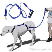 6 fT Instant Trainer Leash Nylon Dog Leash - Thumbnail 3
