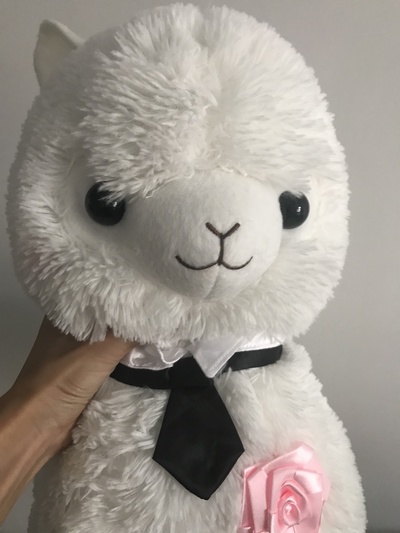 Amuse limited! [Bridal alpacasso] ☆ Big Size 