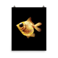 Goldfish Poster - Thumbnail 8